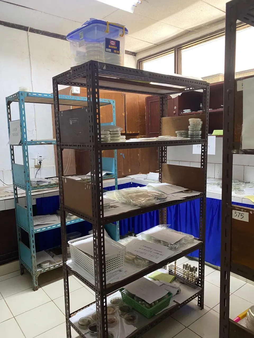 Laboratorium Fitopatologi gallery 4