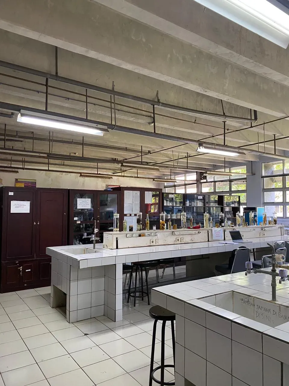 Laboratorium Fitopatologi