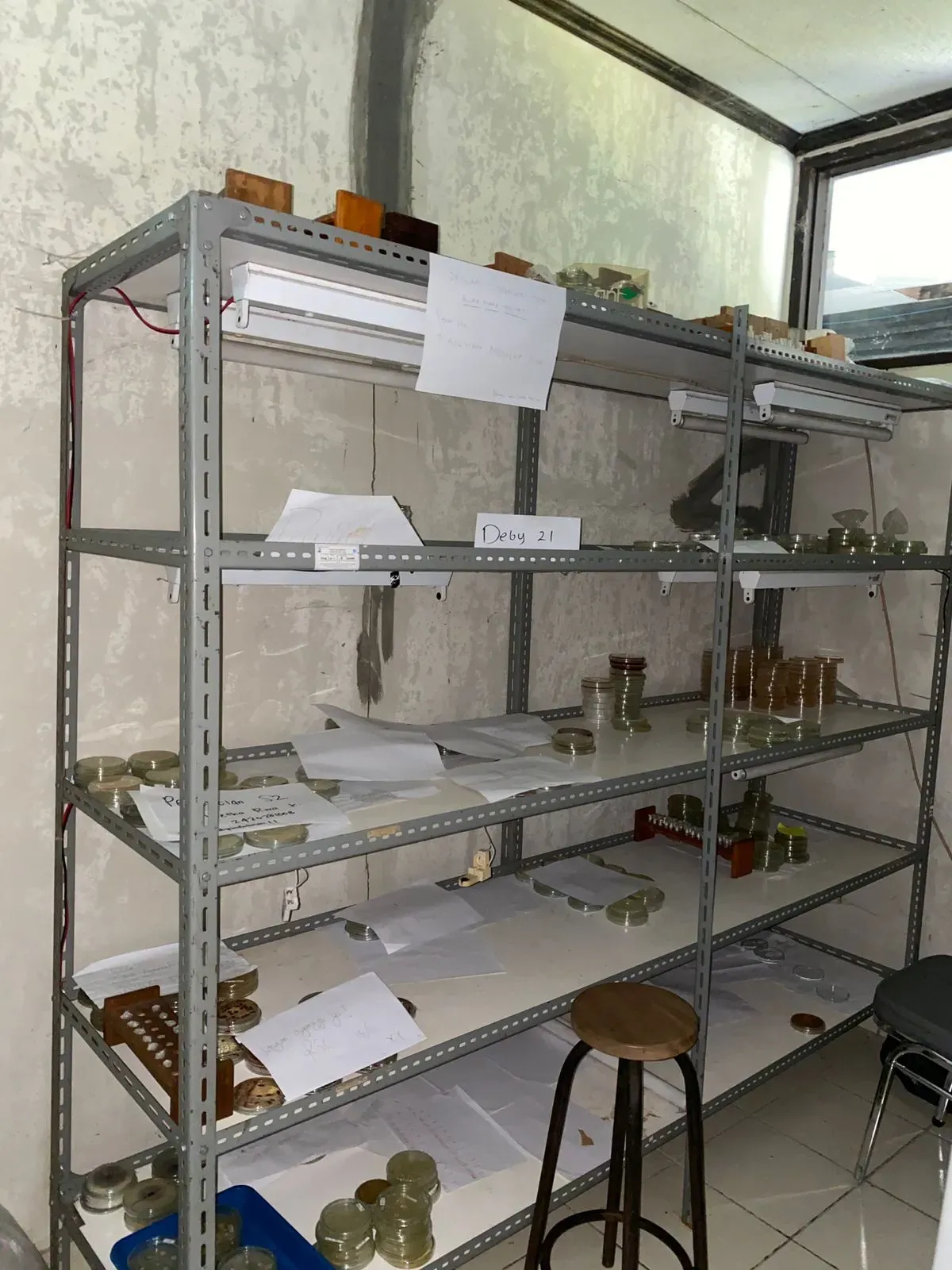 Microbiology Laboratory gallery 4