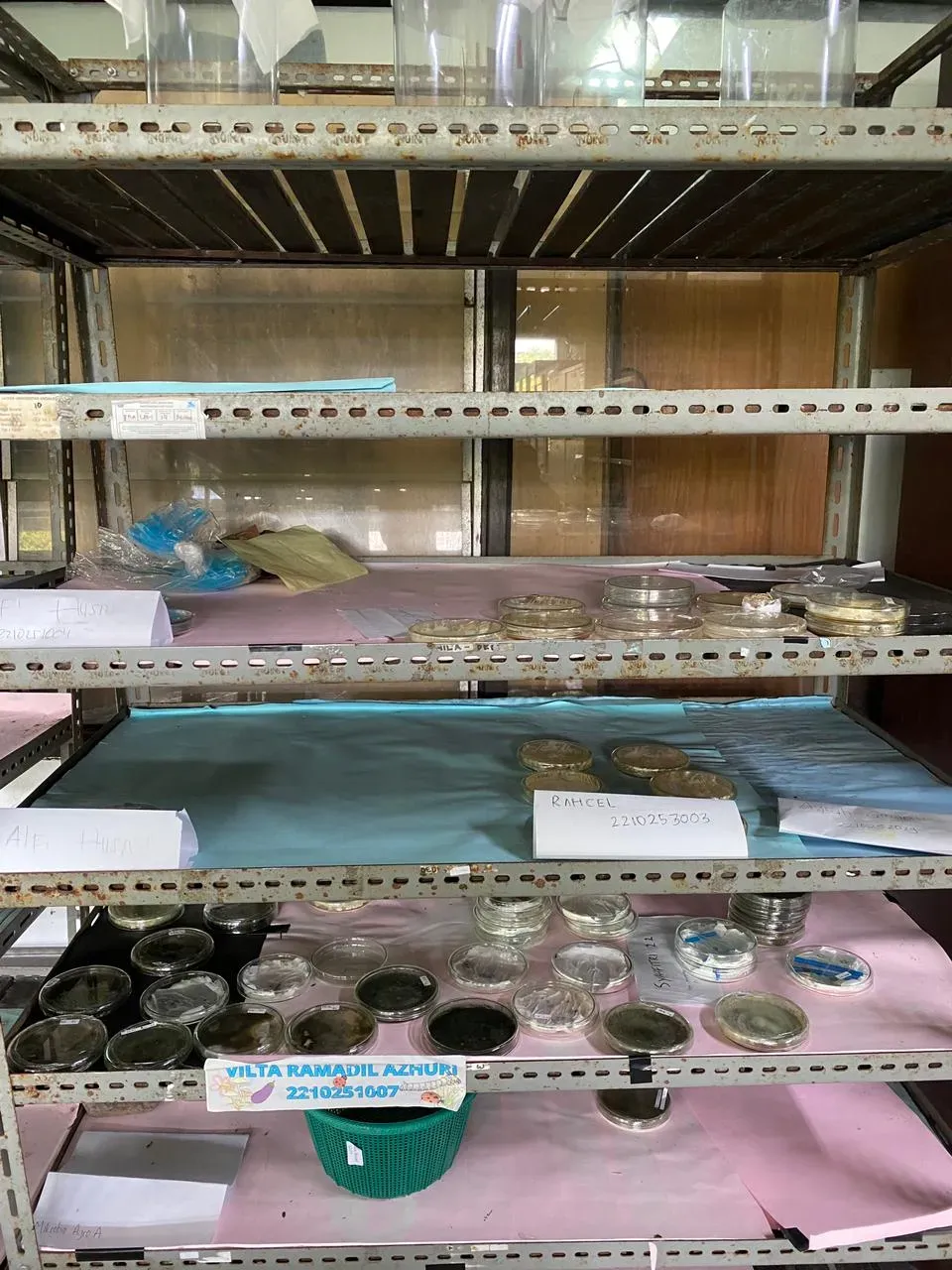 Biological Control Laboratory gallery 4