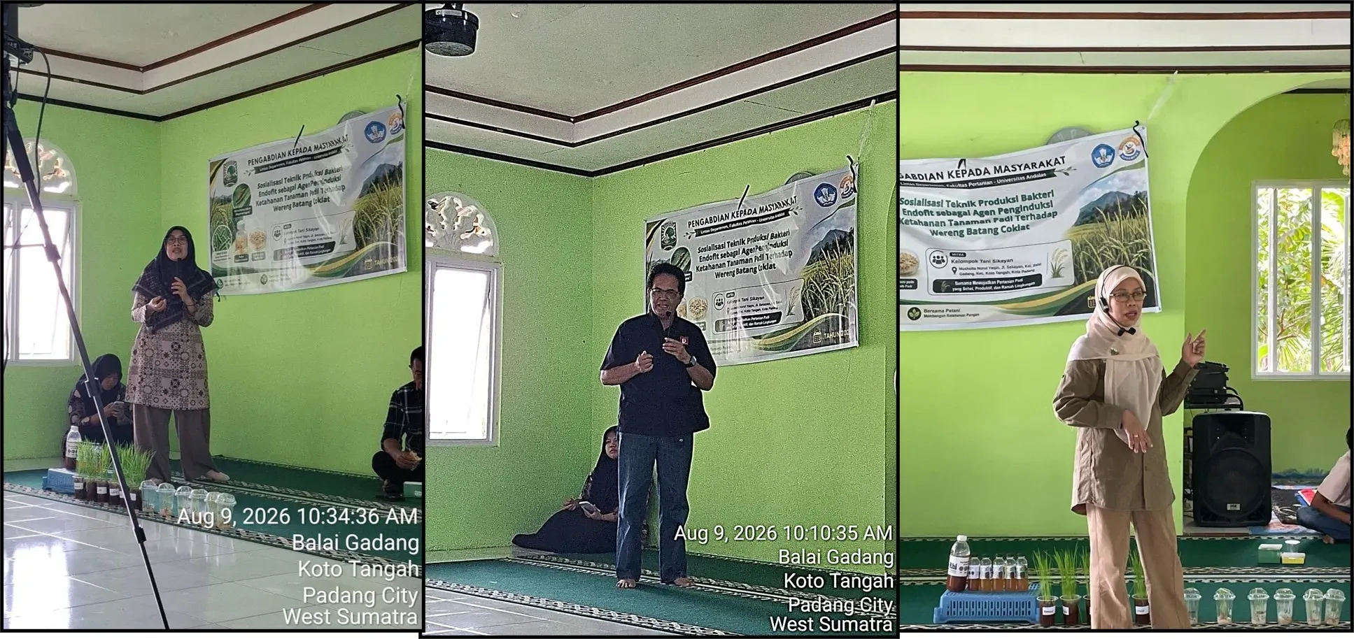 Endophytic Bacteria: An Eco-Friendly Innovation to Protect Rice from Brown Planthopper