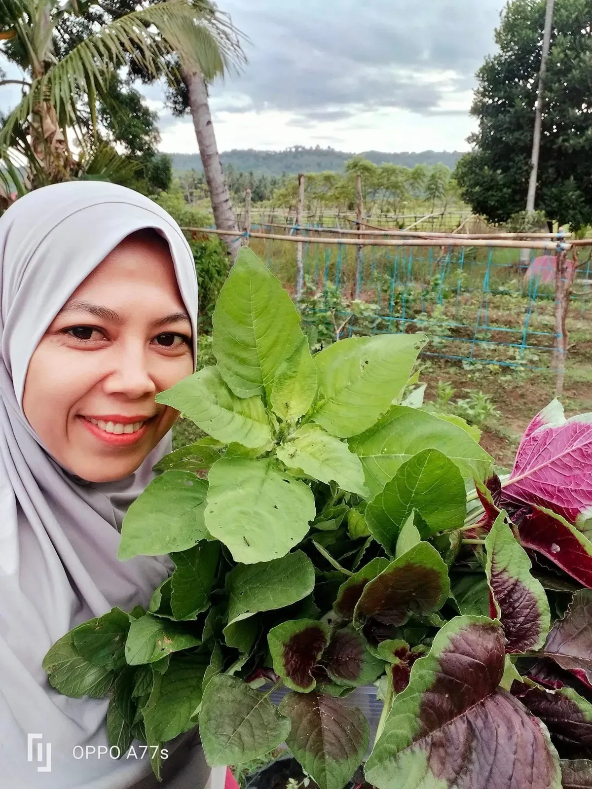 Wirausahawan Pertanian