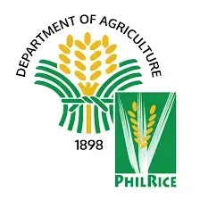 Philippine Rice Research Institute, Philippines